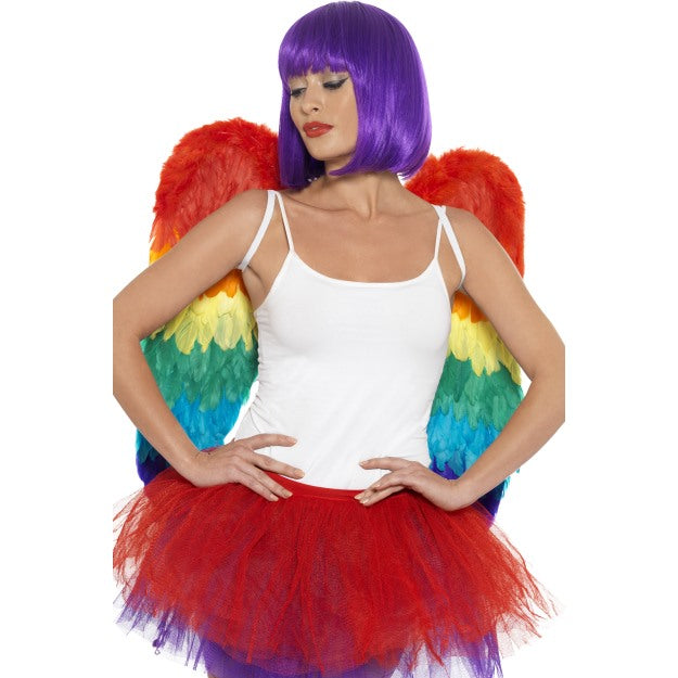 Rainbow Feather Wings (Fancy Dress)
