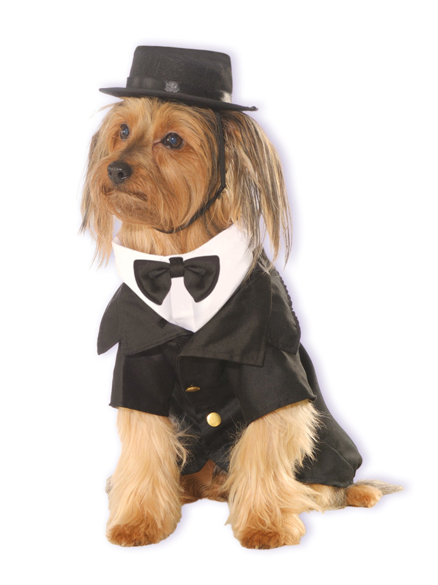 Dapper Dog Costume Dog Cat Animal Fancy Dress Costume Tuxedo Outfit