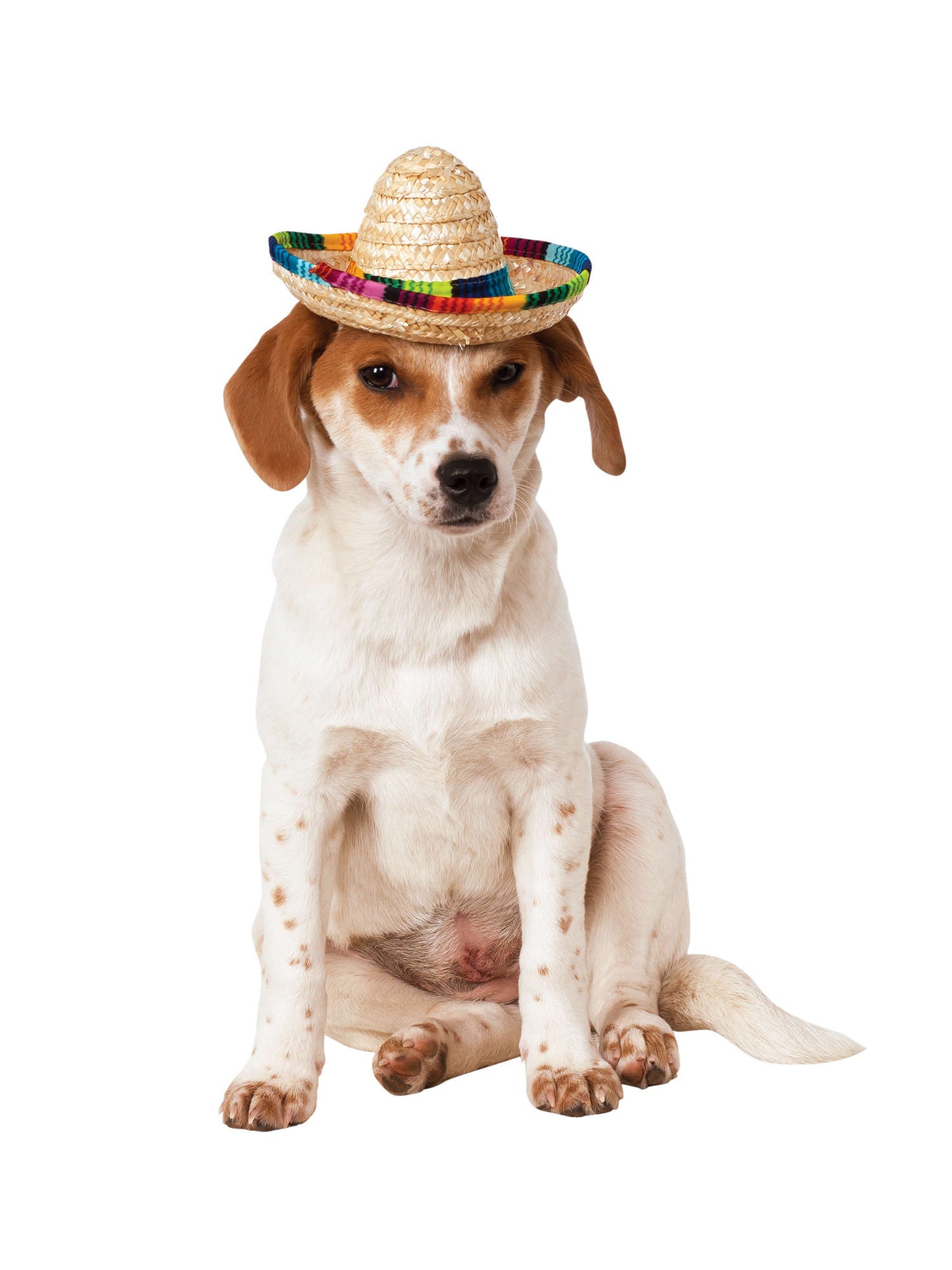 Multi Coloured Sombrero Pet Costume Cat Dog Fancy Dress Accessory Mexican