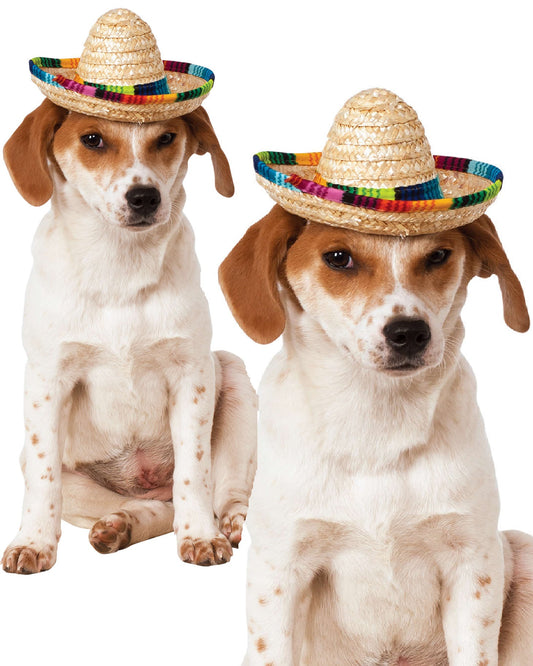 Multi Coloured Sombrero Pet