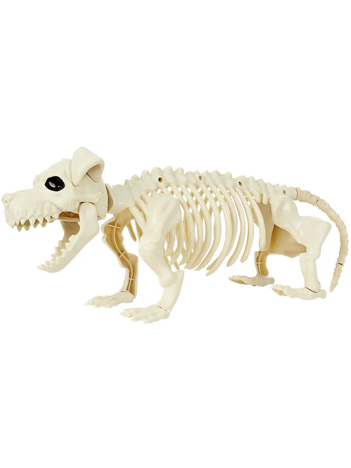 Halloween Human Animal Skeleton Crazy Bones Posable Party Props Decoration New