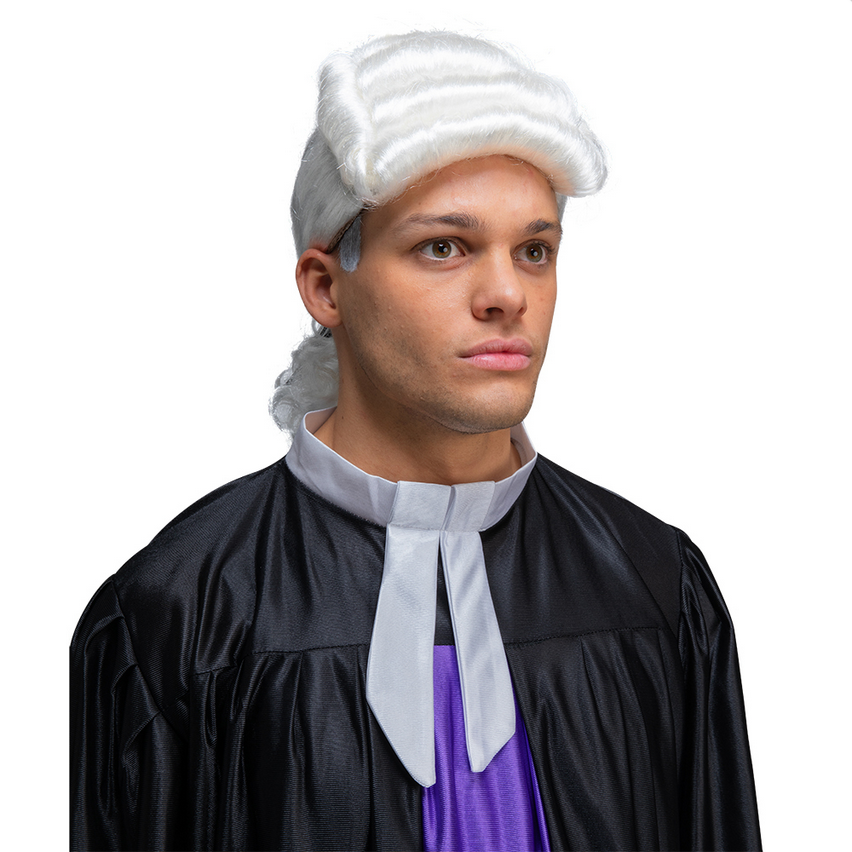 Judge Wig President Washington White Curly Wig Adults Fancy Dress Mens Ladies