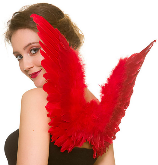 Devil Wings Ladies Devils Halloween Fancy Dress Costume Accessory Red Wings