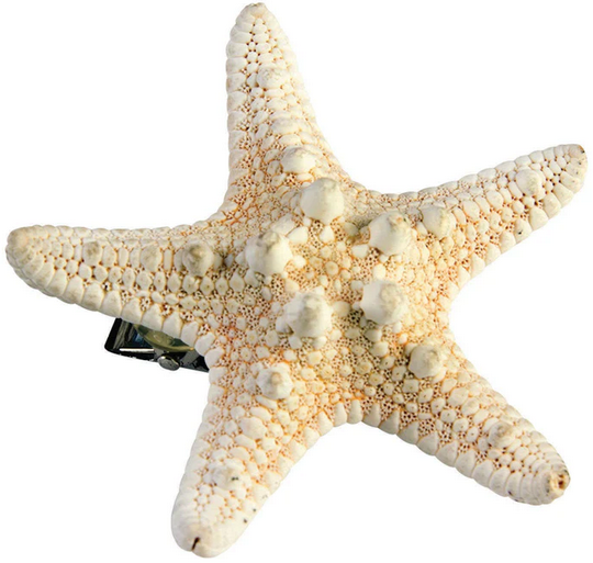 Mermaid Starfish Hairclip Ladies Mermaid Fancy Dress Accessory