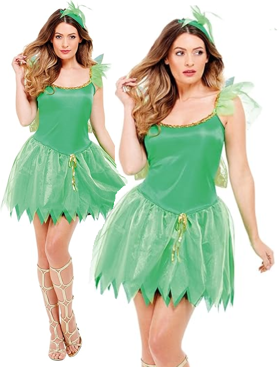Woodland Fairy Costume Adult Pixie Forest Nymph Ladies Womens Fancy Dress New