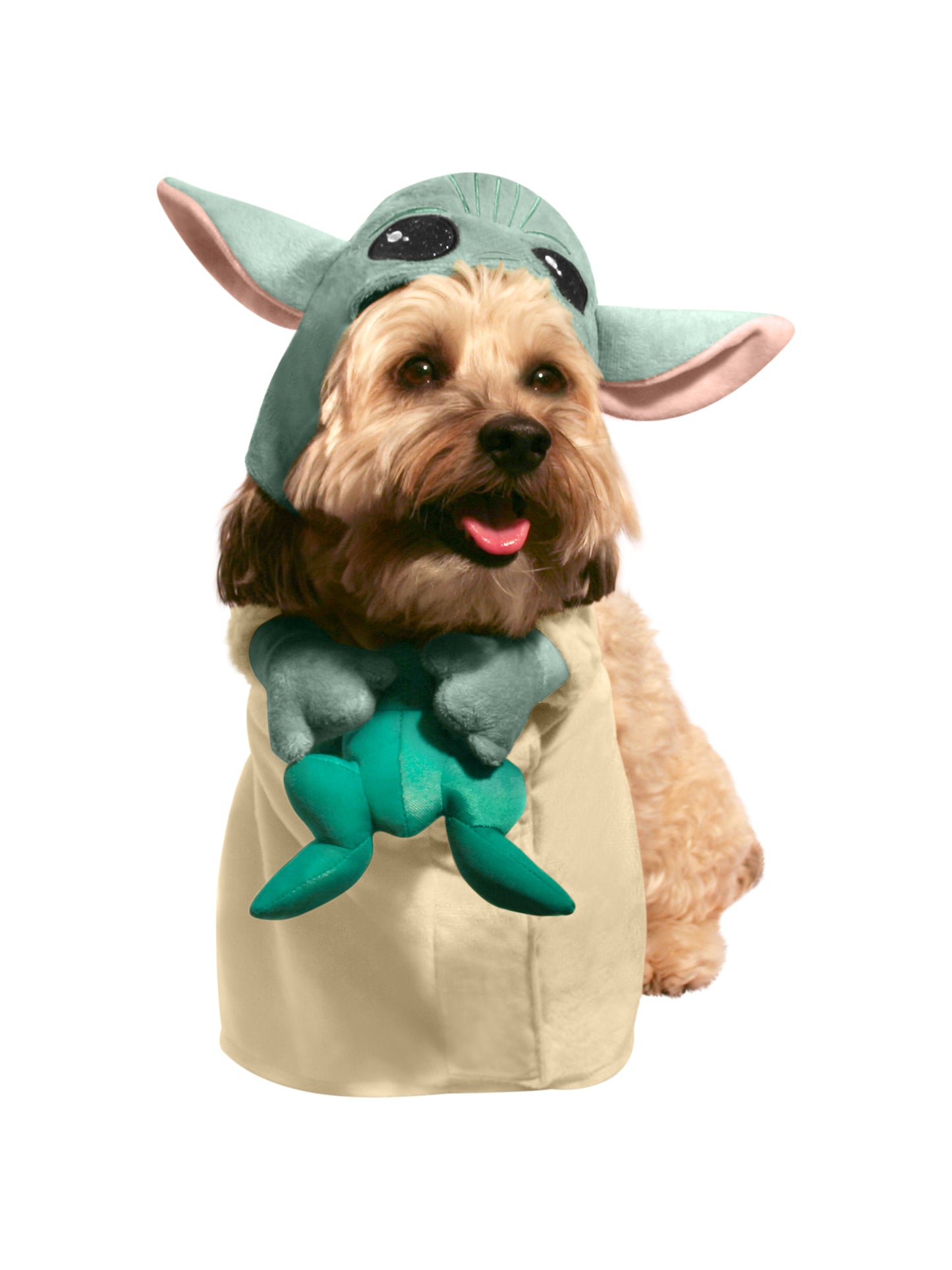 The Child Pet Costume With Frog