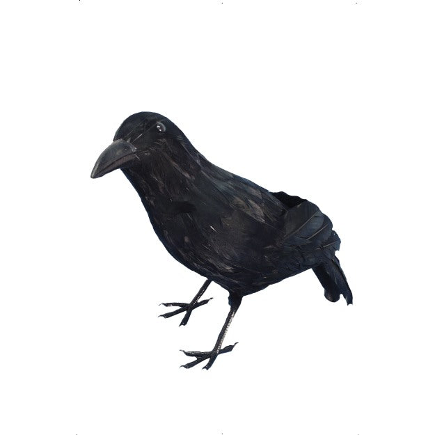 Maleficent Crow Adult Ladies Halloween Fancy Dress Costume Prop Black Crow Kids