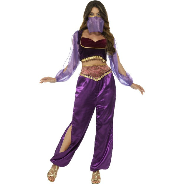 Arabian Princess Costume