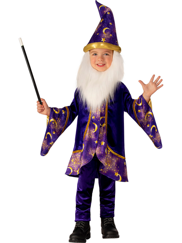 Wizard Costume