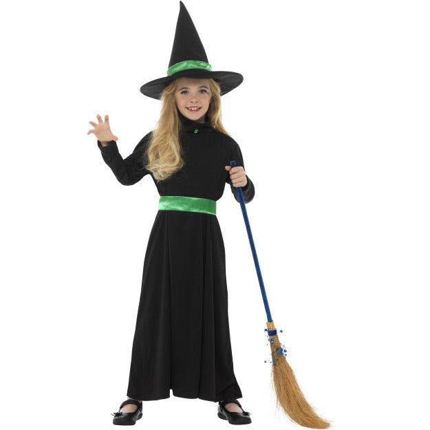 Wicked Witch Costume