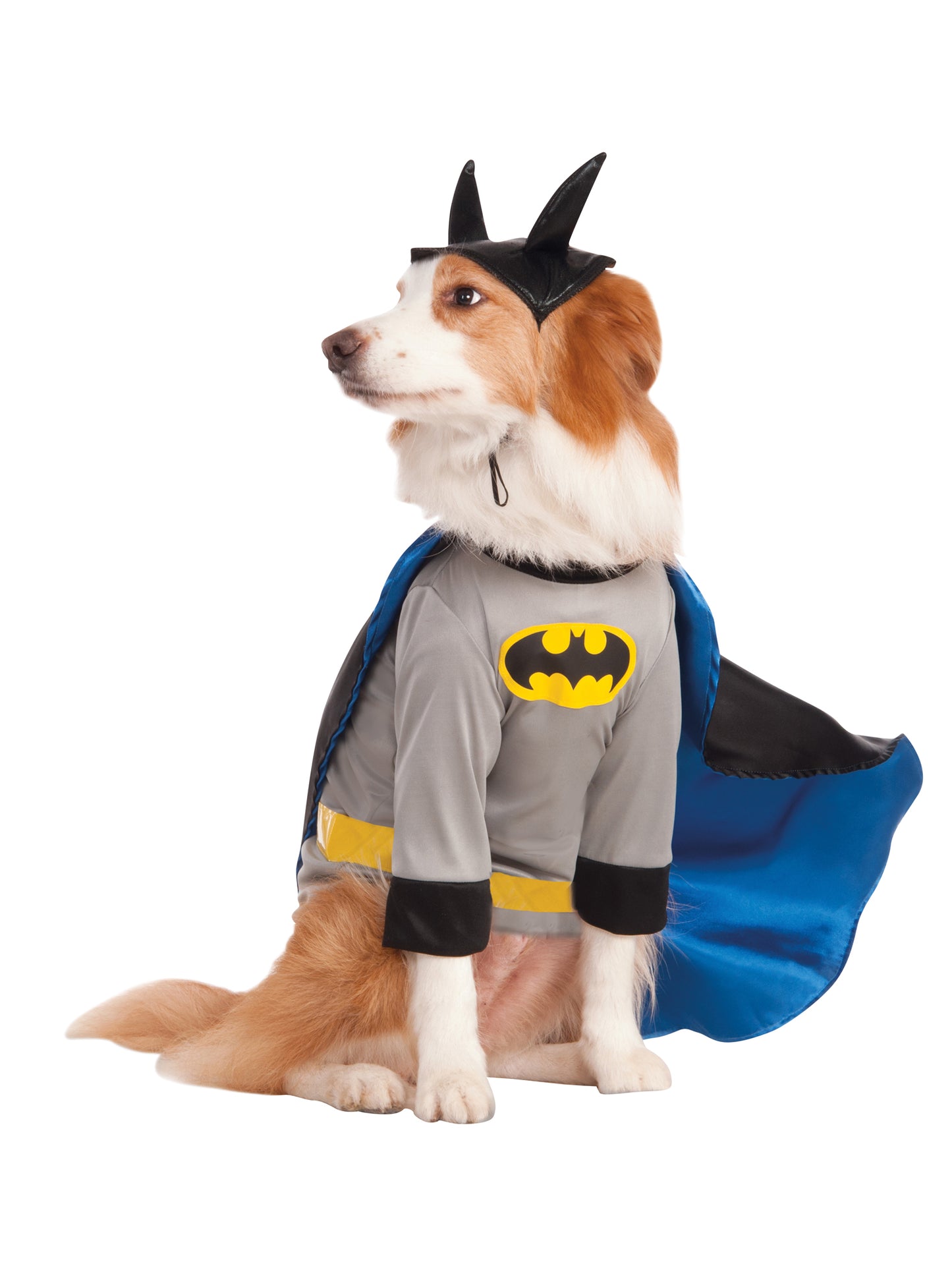 Batman Pet Costume