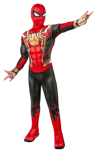 Spiderman Costume