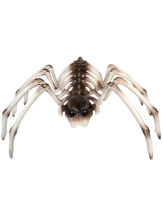 Spider Skeleton Prop