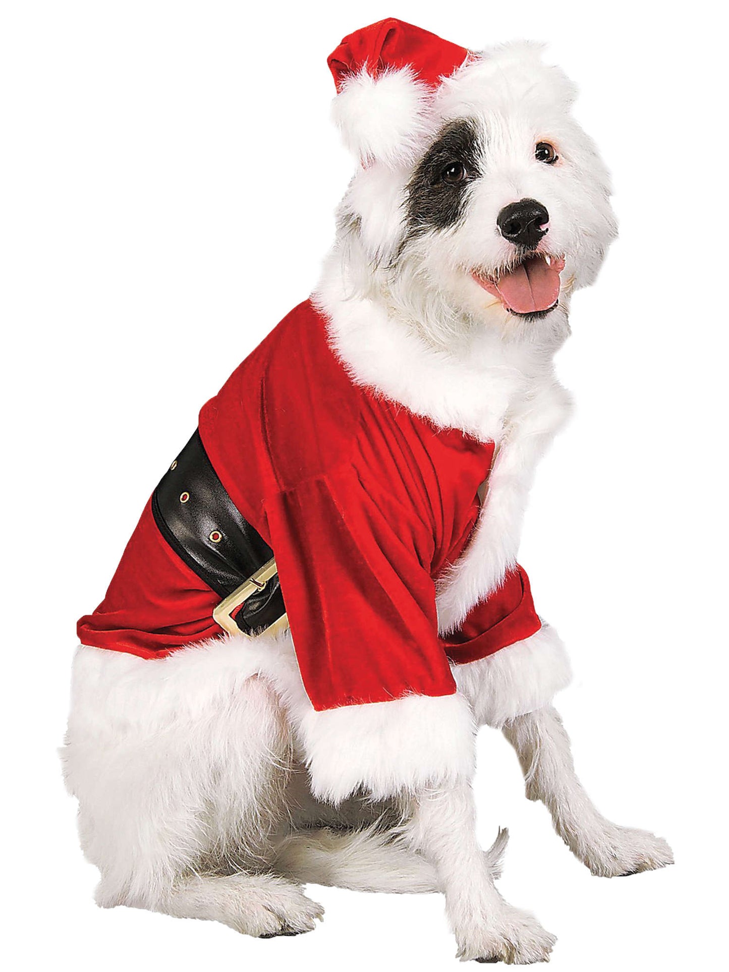 Santa Claus Pet Costume