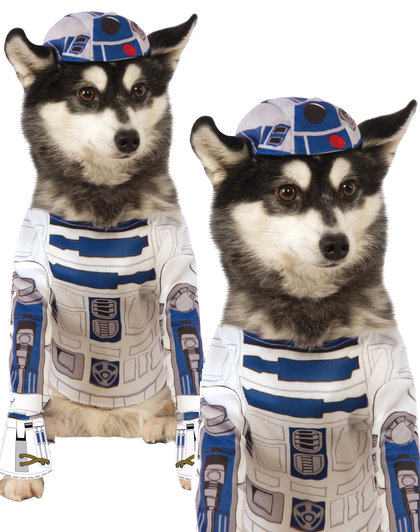 R2-D2 Pet Costume