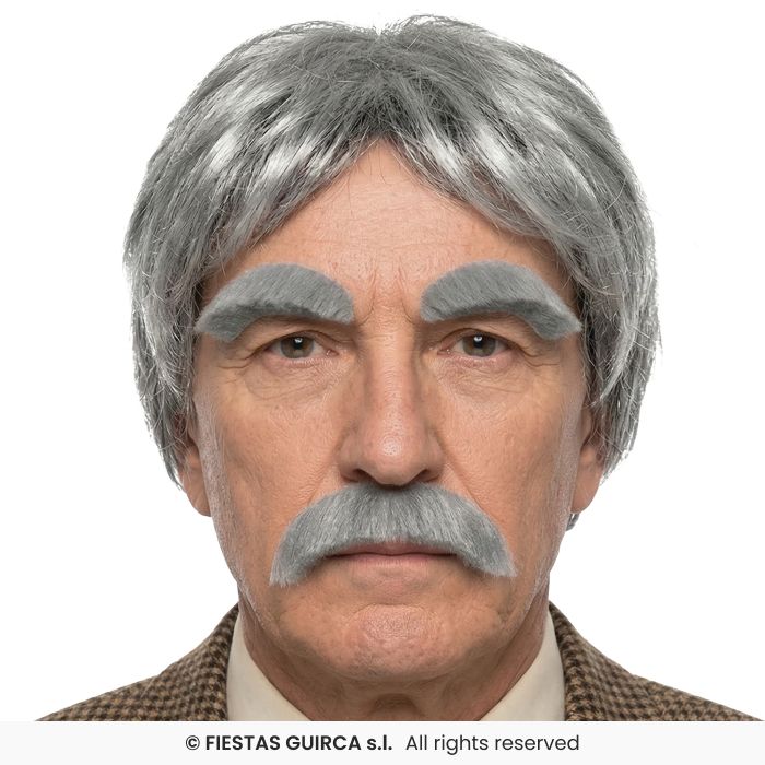 Short Wig With Mustache & Grey Eyebrows Mens Old Man Fancy Dress Kit