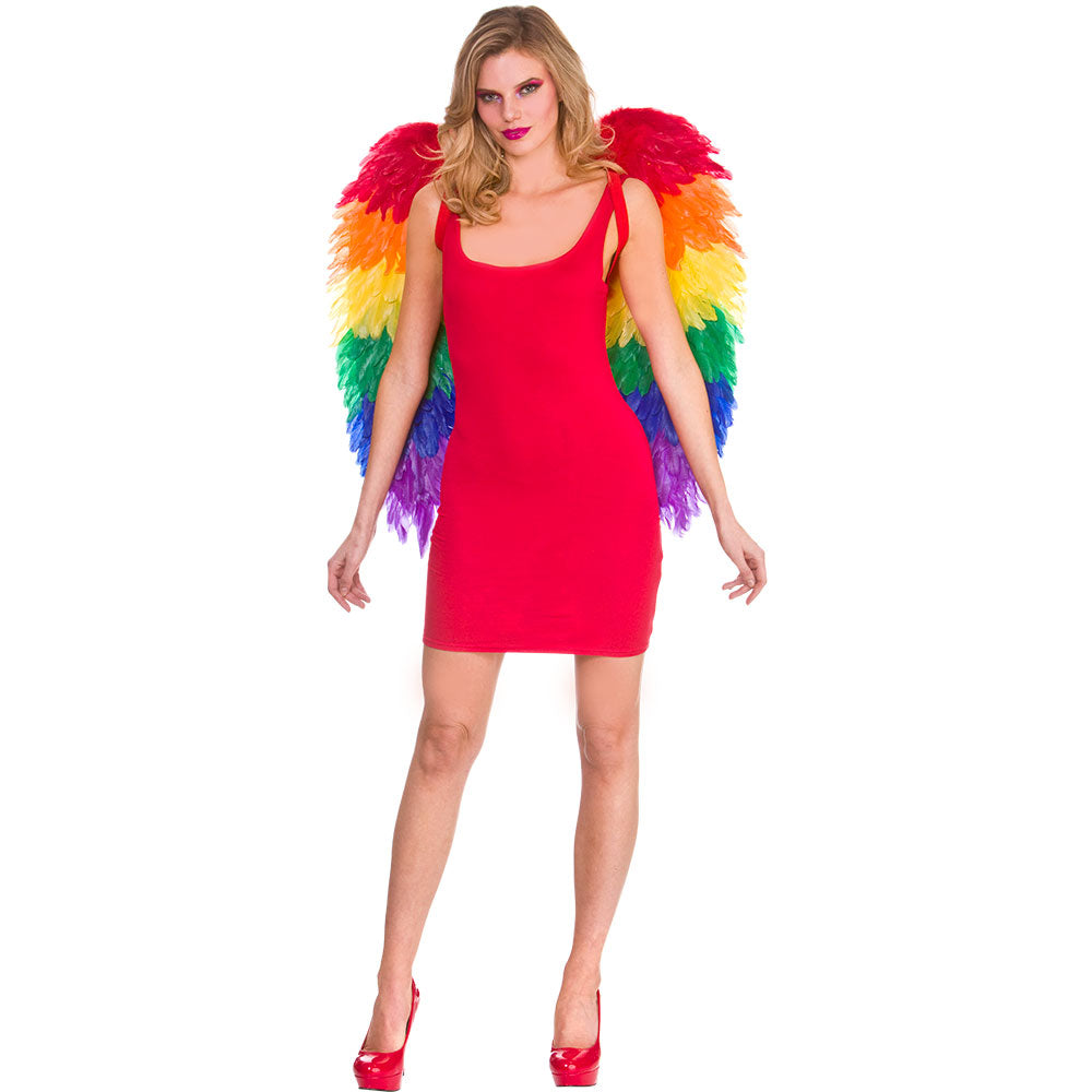 Large Rainbow Feather Wings 75x75cm