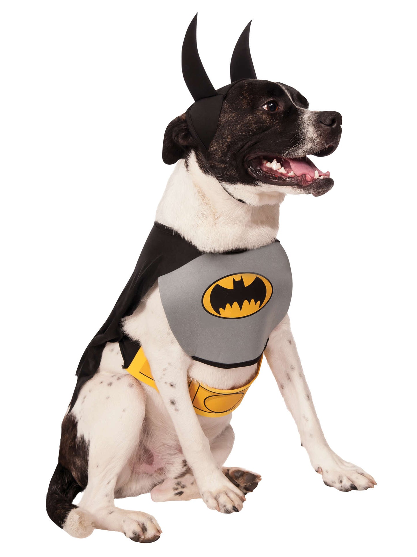 Batman Pet Costume