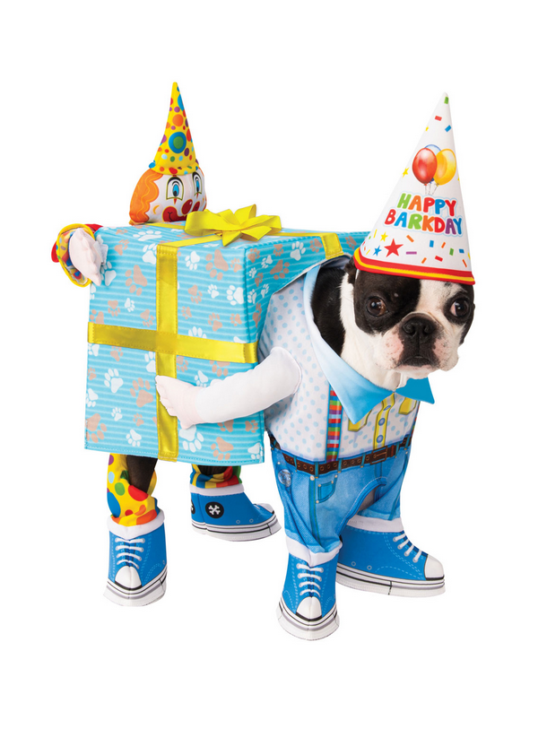 Birthday Carry Pet Costume