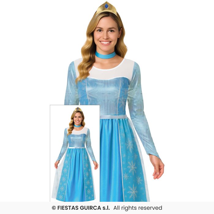 Frost Princess Cinders Fancy Dress Costume Fairytale Storybook Adults Outfit Blue