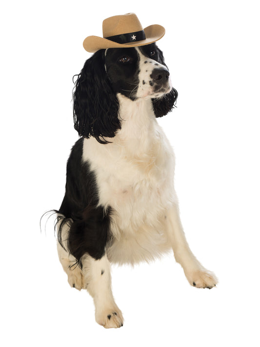 Brown Cowboy Hat Dog