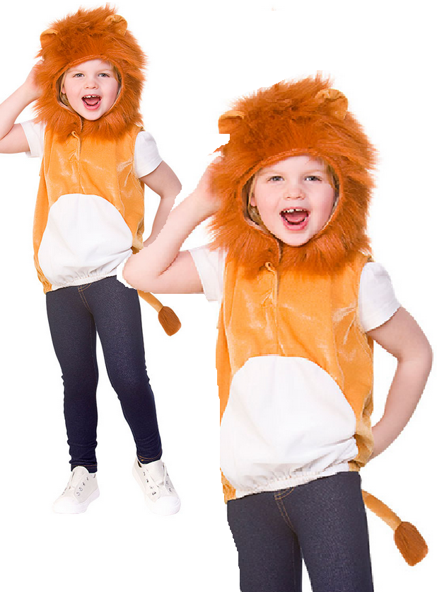 Lion Costume