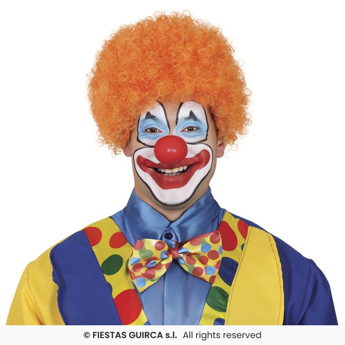 Curly Wig Afro Wig Adults Clown Fancy Dress Circus Clowns Prop Mens Ladies