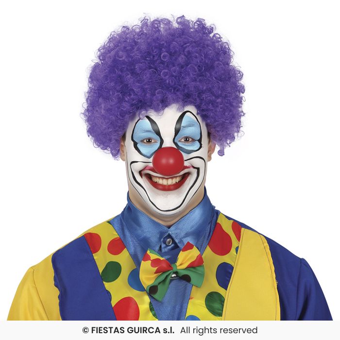 Curly Wig Afro Wig Adults Clown Fancy Dress Circus Clowns Prop Mens Ladies