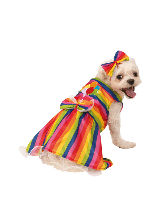 Pet Rainbow Costume
