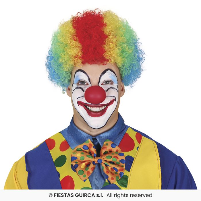 Curly Wig Afro Wig Adults Clown Fancy Dress Circus Clowns Prop Mens Ladies