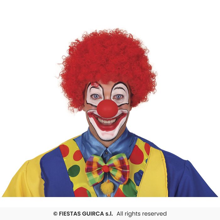 Curly Wig Afro Wig Adults Clown Fancy Dress Circus Clowns Prop Mens Ladies