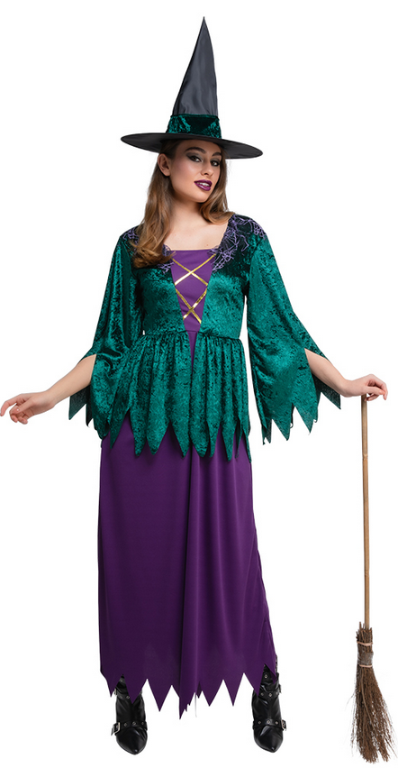 Hocus Pocus Witch Costume Ladies Halloween Sanderson Witches Fancy Dress