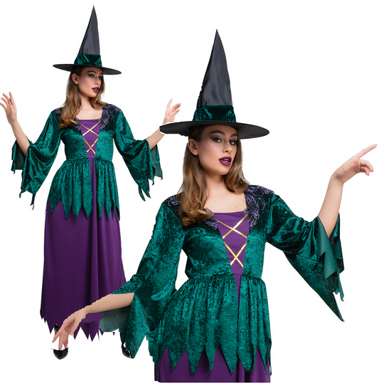Hocus Pocus Witch Costume Ladies Halloween Sanderson Witches Fancy Dress