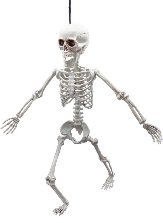 Pose-able Skeleton Indoor Outdoor Halloween Decoration Party Fancy Dress Prop