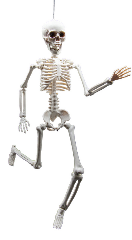 Pose-able Realistic Skeleton 40cm Halloween Party Decoration Prop Fancy Dress