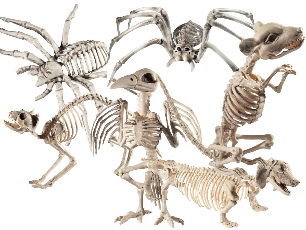 Halloween Human Animal Skeleton Crazy Bones Posable Party Props Decoration New