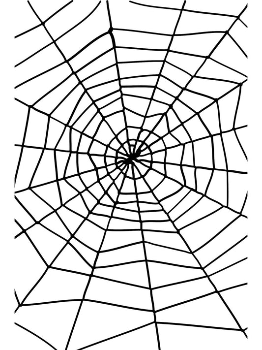Spider Web & Spider Halloween Fancy Dress Party Decoration Prop