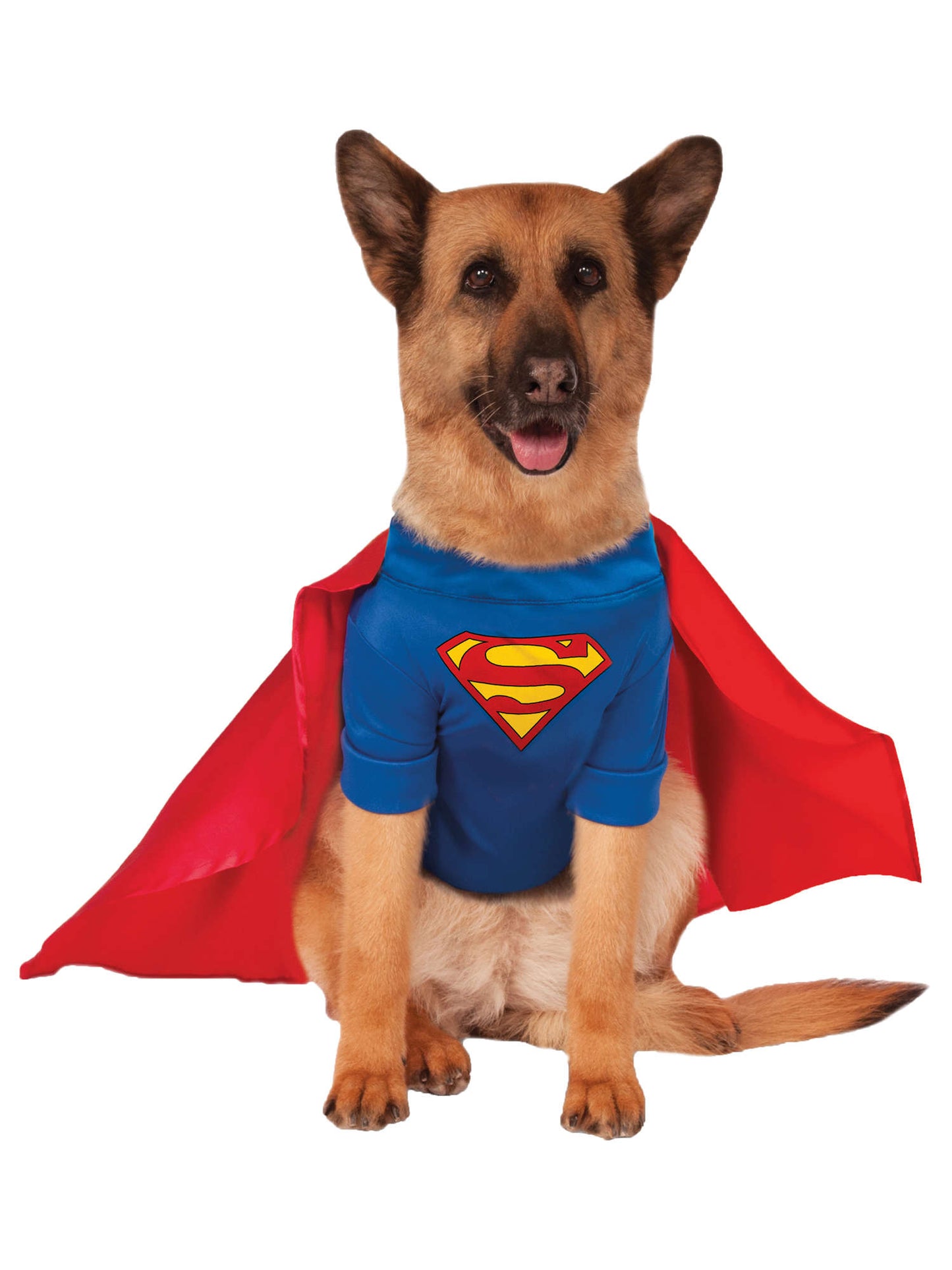 Superman Dog Costume