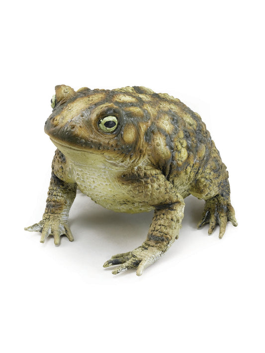 Toad (18cm) Rubber