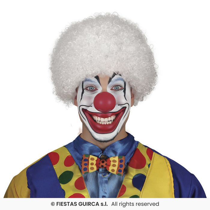 Curly Wig Afro Wig Adults Clown Fancy Dress Circus Clowns Prop Mens Ladies