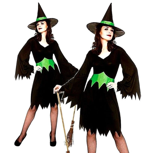 Adult Wicked Witch Costume
