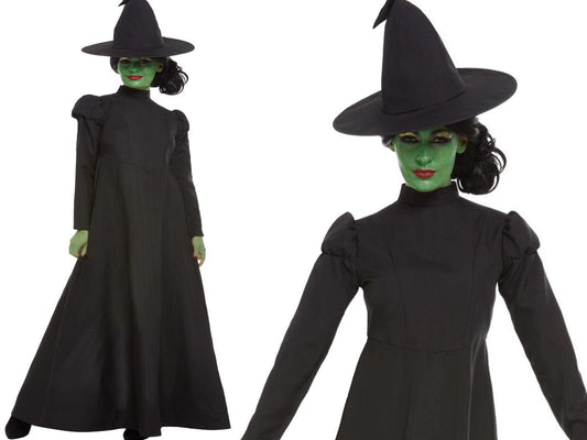 Wicked Witch Costume