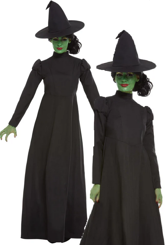 Wicked Witch Costume Ladies Halloween Fancy Dress Witches Outfit UK 4-18