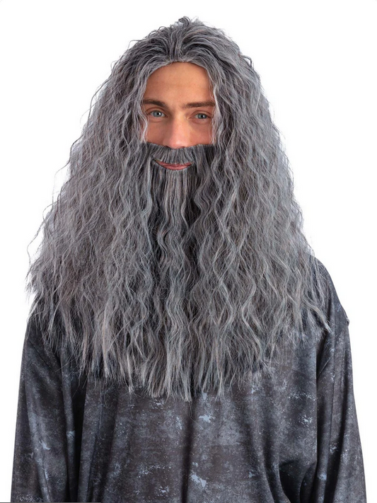 Sorcerer Wizard Wig & Beard Set Grey Halloween Fancy Dress Set Deluxe