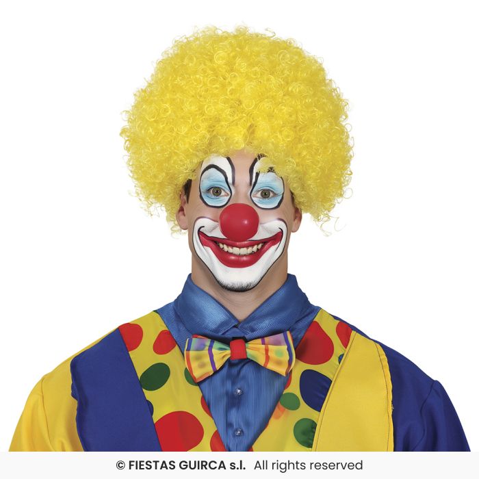 Curly Wig Afro Wig Adults Clown Fancy Dress Circus Clowns Prop Mens Ladies