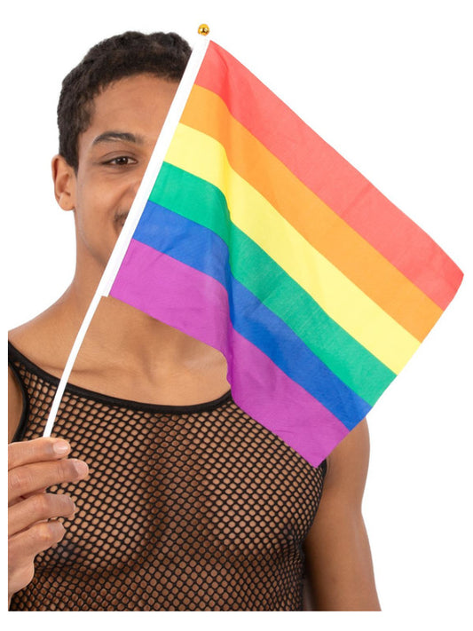 12 x Rainbow Flag Pride Fancy Dress Flag Festival Carnical Accessory Mens Ladies